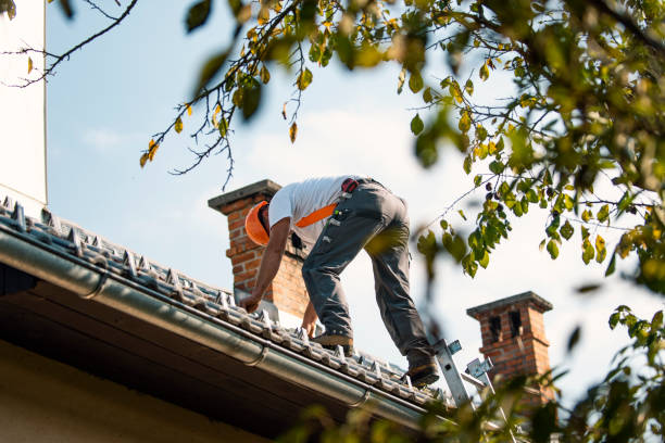 Best Local Roofing Companies  in Sunray, TX