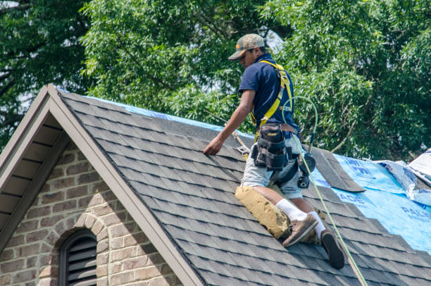Gutter Installation and Roofing in Sunray, TX
